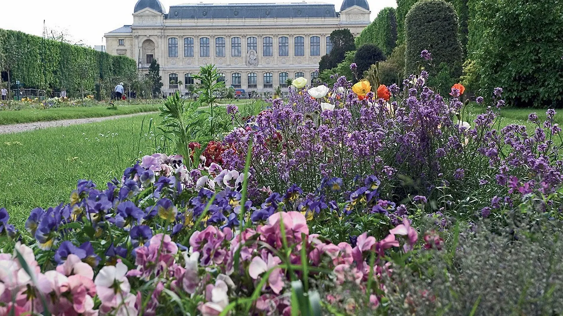 Libertel Austerlitz Jardin Des Plantes Hotel Paris